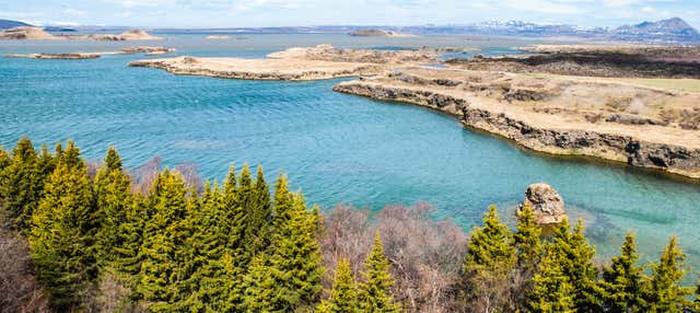 Escursione al Lago Mývatn