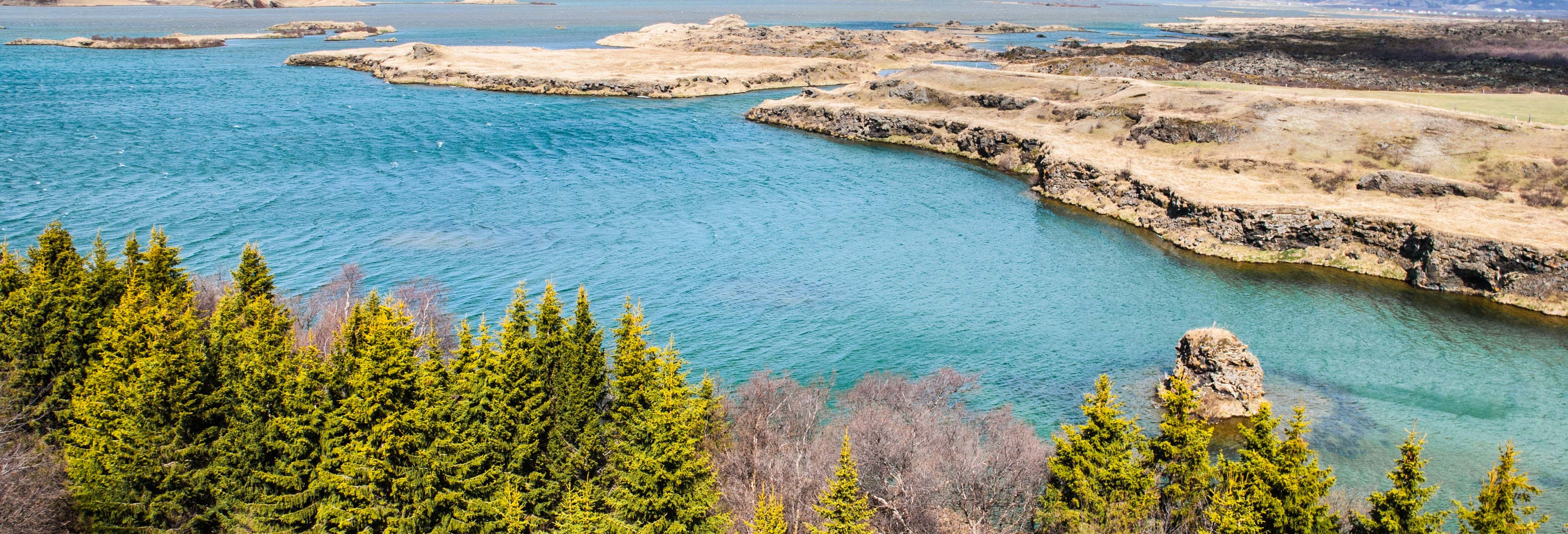 Escursione al Lago Mývatn