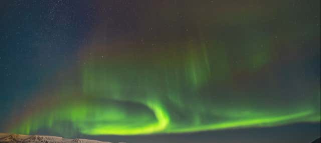Tour dell'aurora boreale + Avvistamento di balene