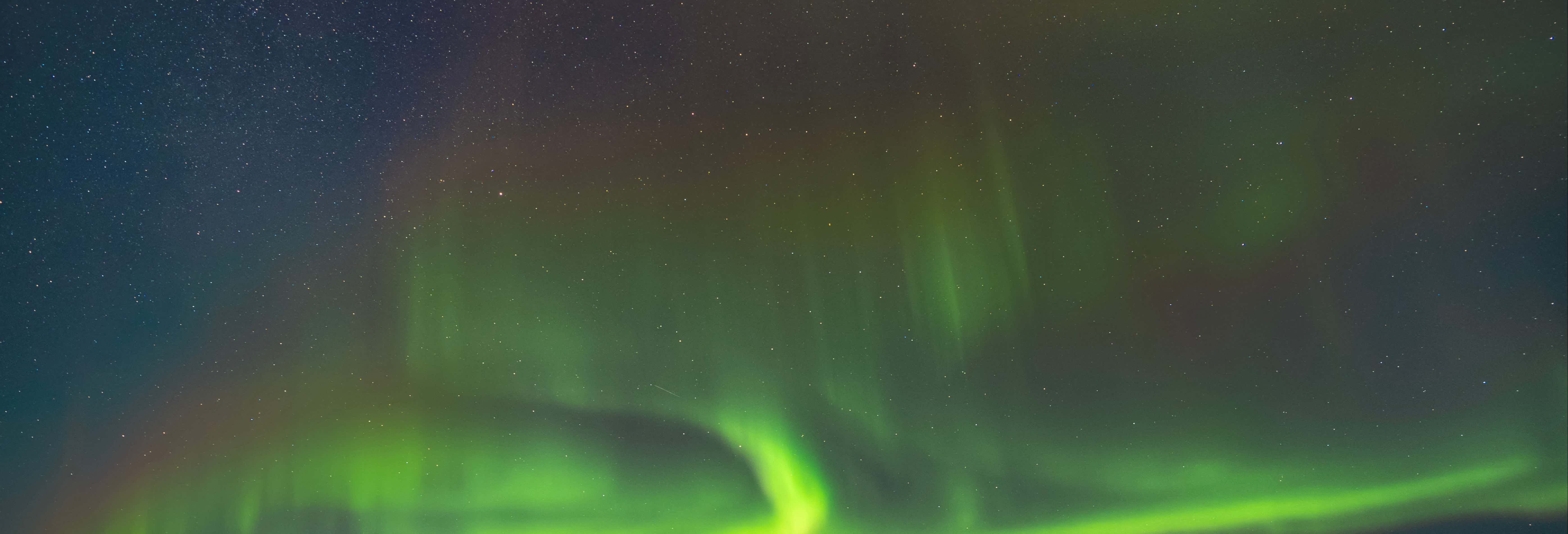 Tour dell'aurora boreale + Avvistamento di balene