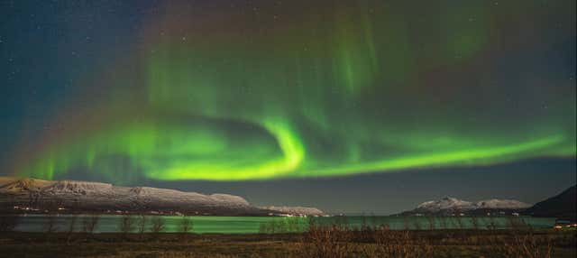 Tour dell'aurora boreale
