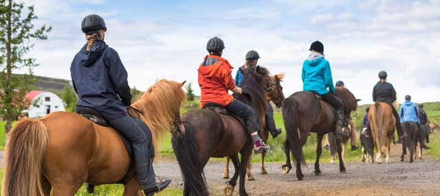 Passeggiata a cavallo sulle montagne di Hella