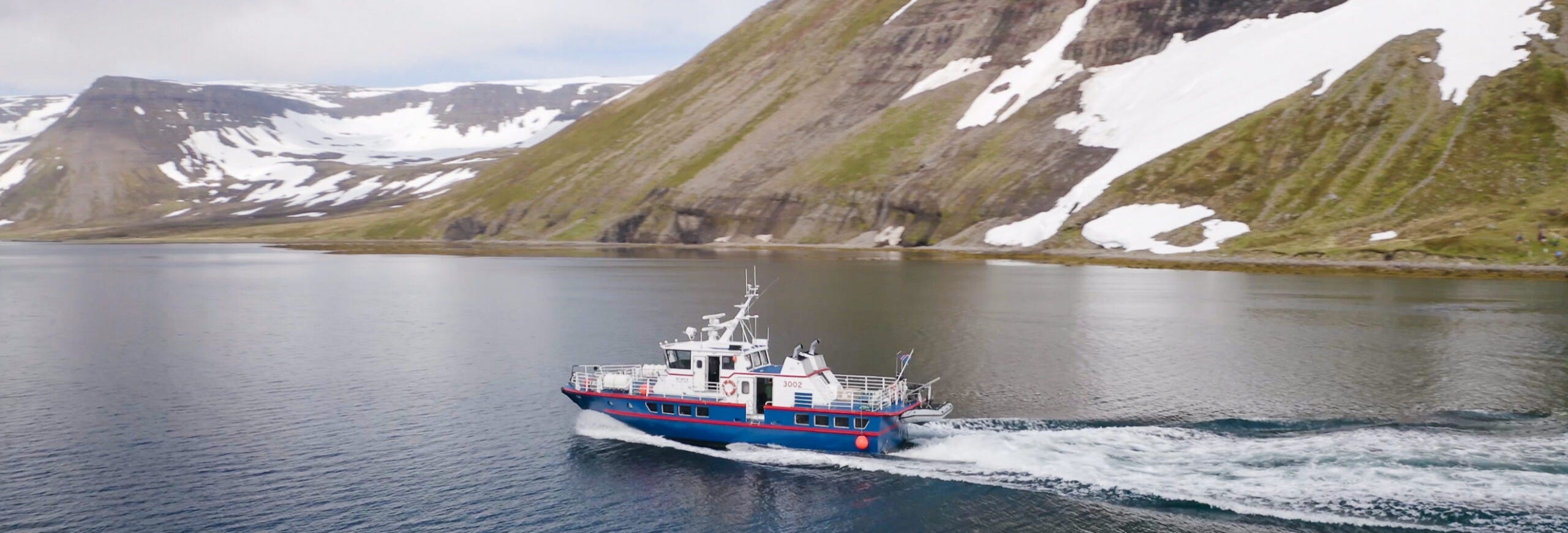 Isafjordur Fjord Whale Watching