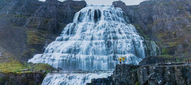 Cascade de Dynjandi + Ferme de chevaux islandais pour les croisières