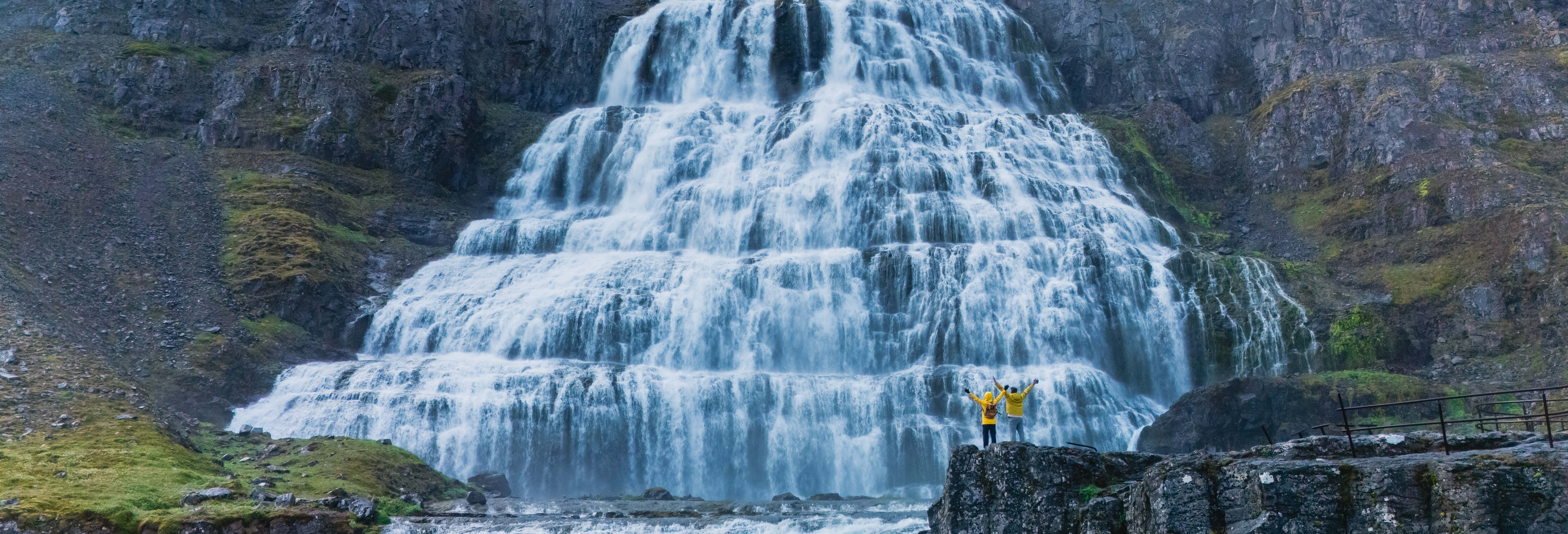 Cascata Dynjandi + Visita a un allevamento di cavalli islandesi per croceristi