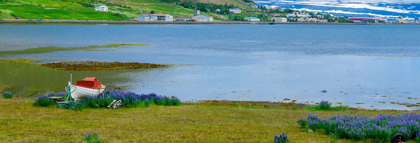 Tour pelos Westfjords para cruzeiros