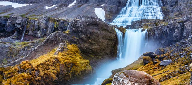 Escursione a Dynjandi, Arnarfjördur e Bíldudalur 