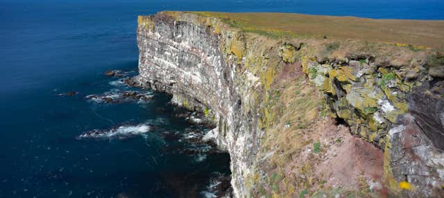 Tour di Látrabjarg e Raudasandur in fuoristrada