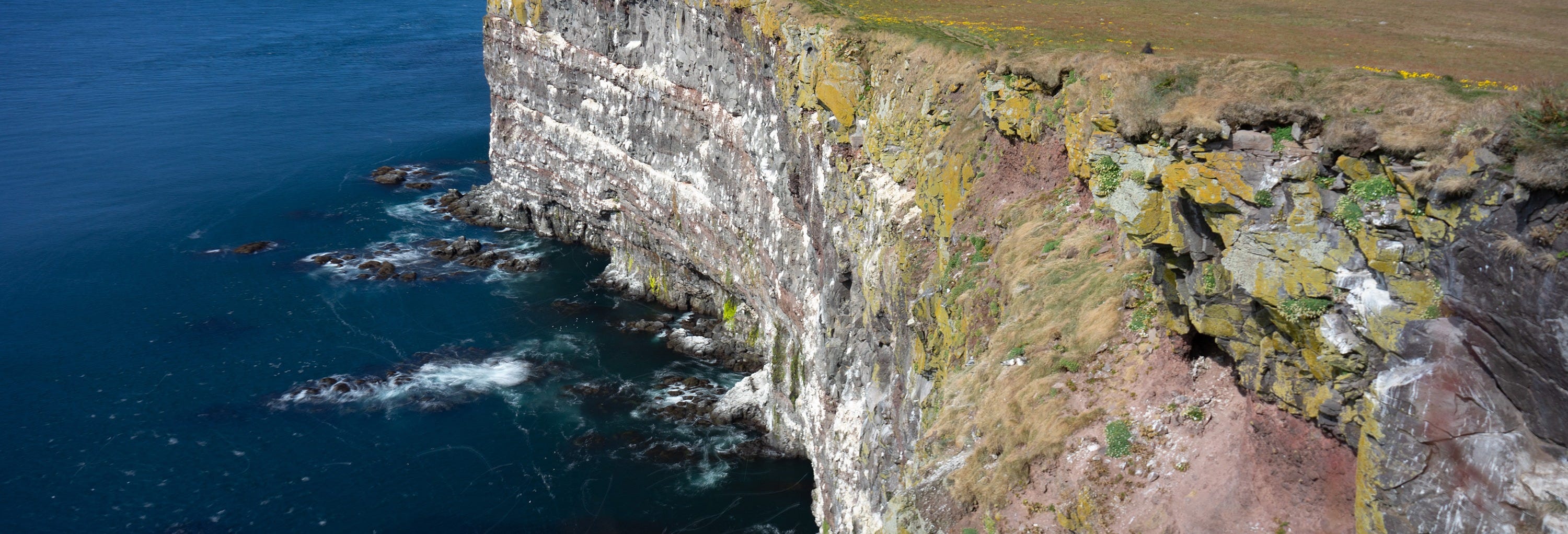 Látrabjarg & Raudasandur Jeep Tour