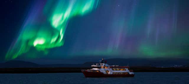 Northern Lights Cruise in Reykjavík