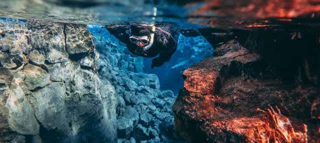 Snorkeling alla Faglia di Silfra