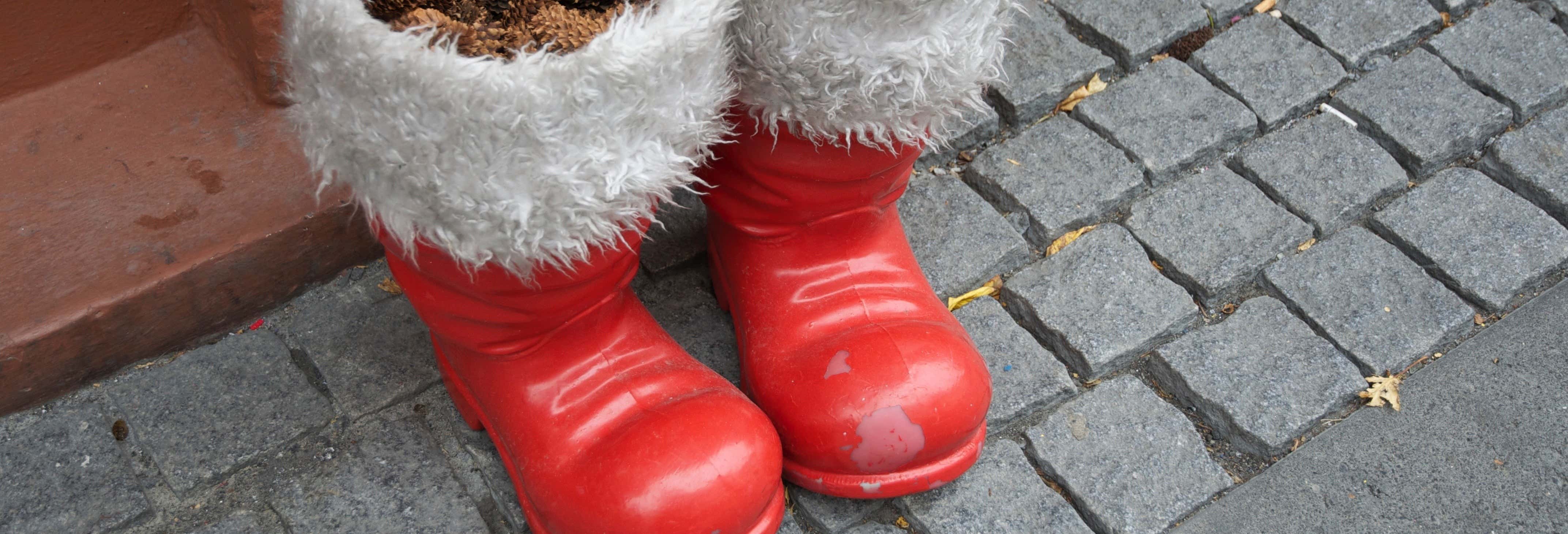 Reykjavik Christmas Tour