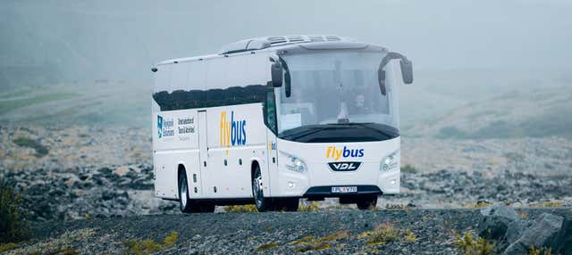 Transfer da Reykjavík all'aeroporto di Keflavik