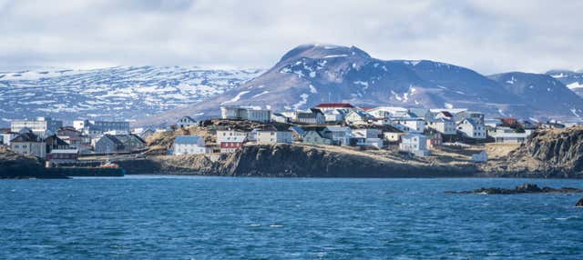 Tour in kayak lungo la costa di Stykkishólmur