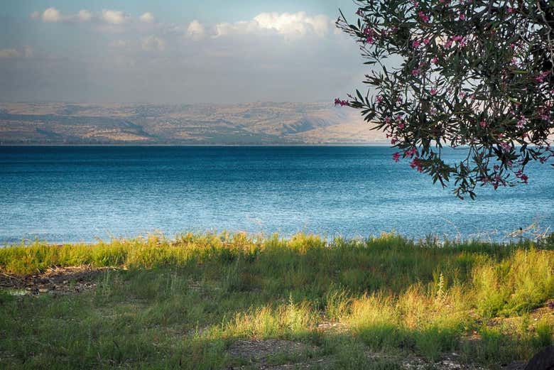 Nazareth, Tiberias & Sea of Galilee Trip
