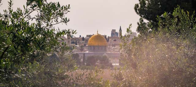 Tour del Monte degli Ulivi