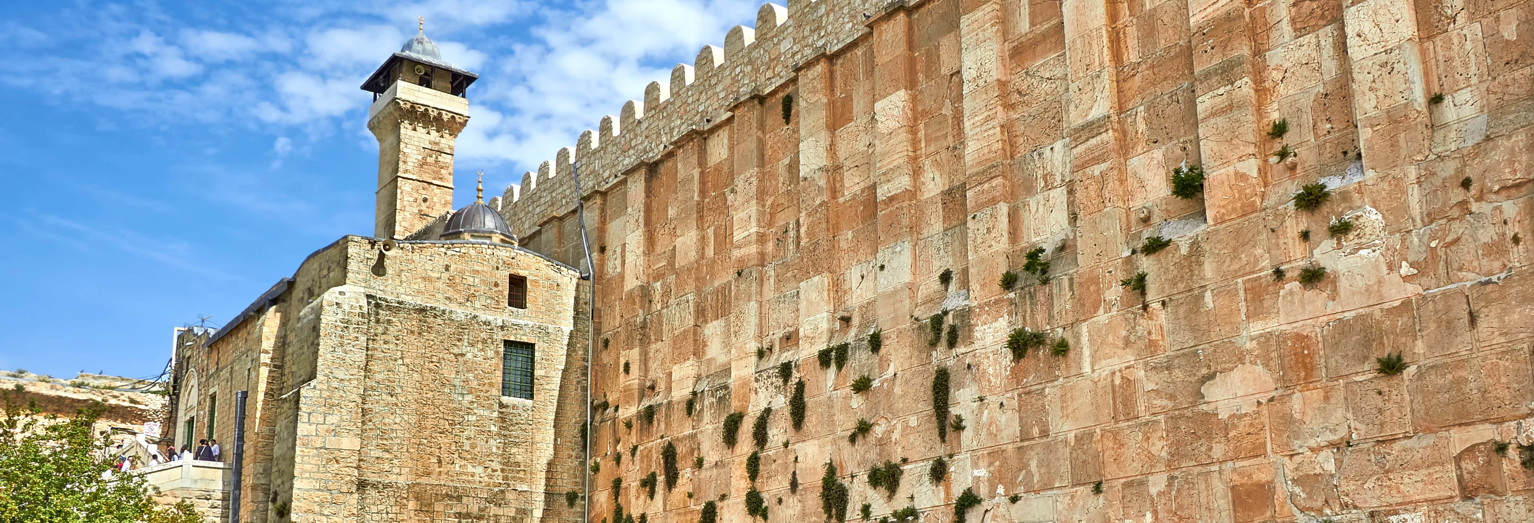 Hebron Palestine Tour