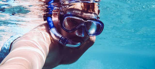 Snorkeling ad Aci Castello