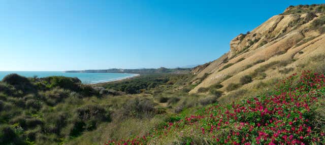 Tour della Riserva Naturale Orientata Torre Salsa in kayak