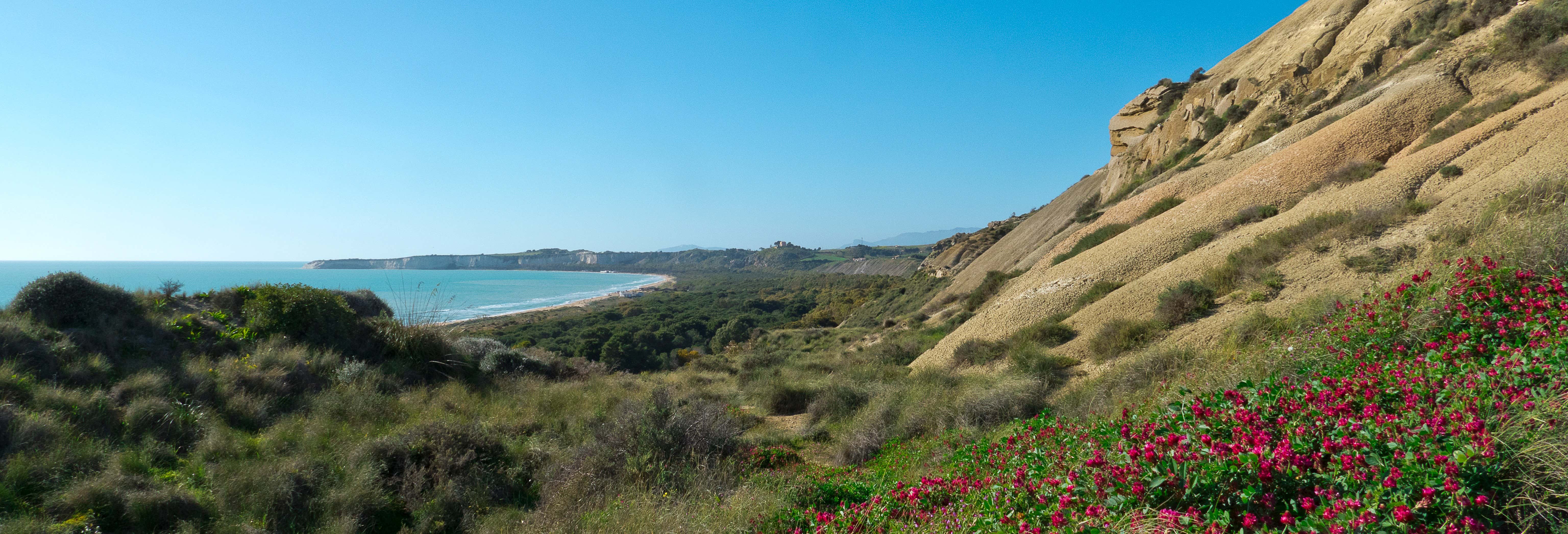 Tour della Riserva Naturale Orientata Torre Salsa in kayak