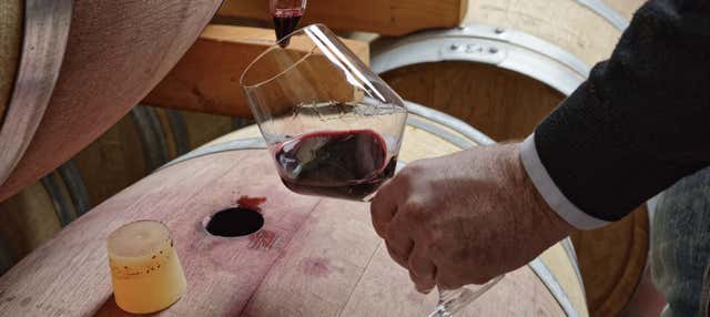 Visita alla cantina Quattrocieli