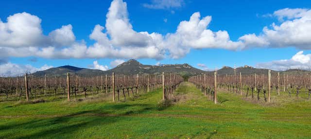 Aperitivo alla cantina Isola Oltremare