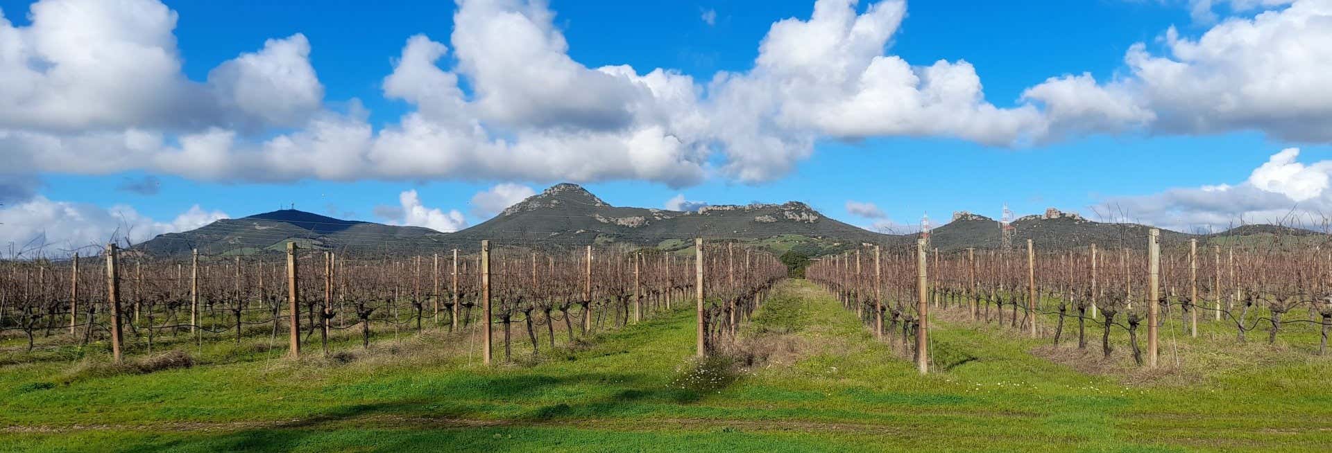 Aperitivo alla cantina Isola Oltremare