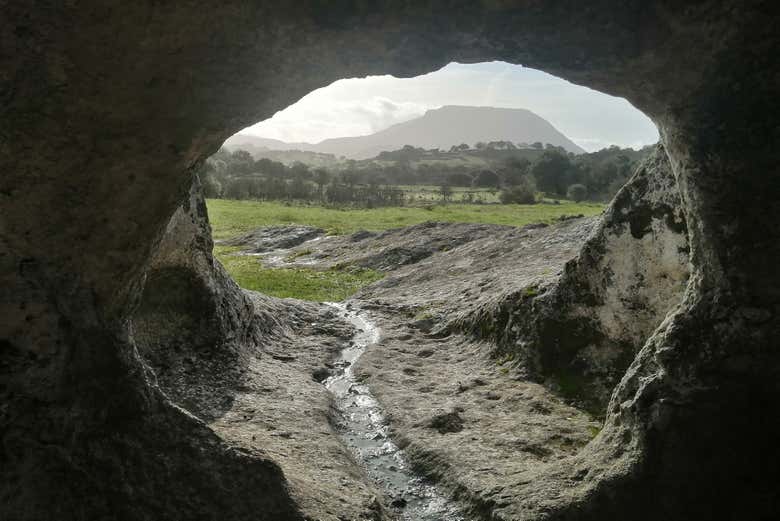 Imagen 5