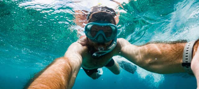 Snorkeling nel Parco Naturale di Porto Conte