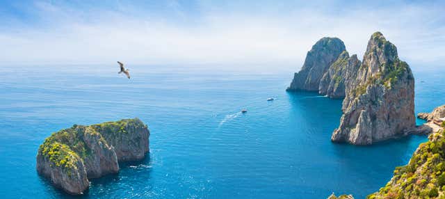 Escursione a Capri e all'isola di Li Galli