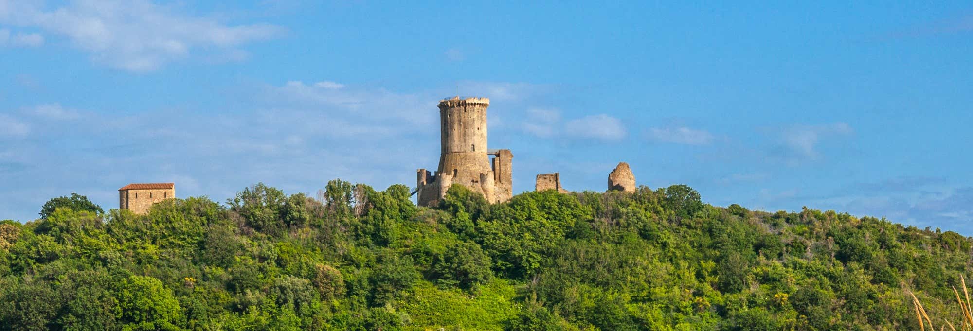 Velia Archaeological Site Tour