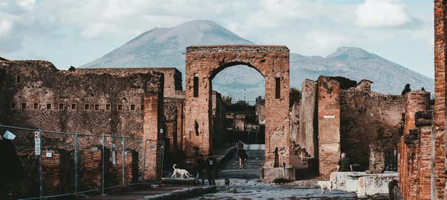 Escursione a Pompei e al Vesuvio