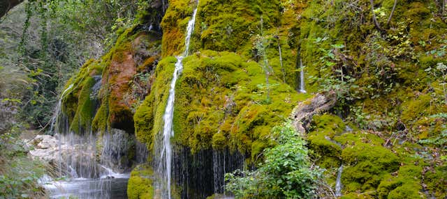 Escursione alle cascate Capelli di Venere