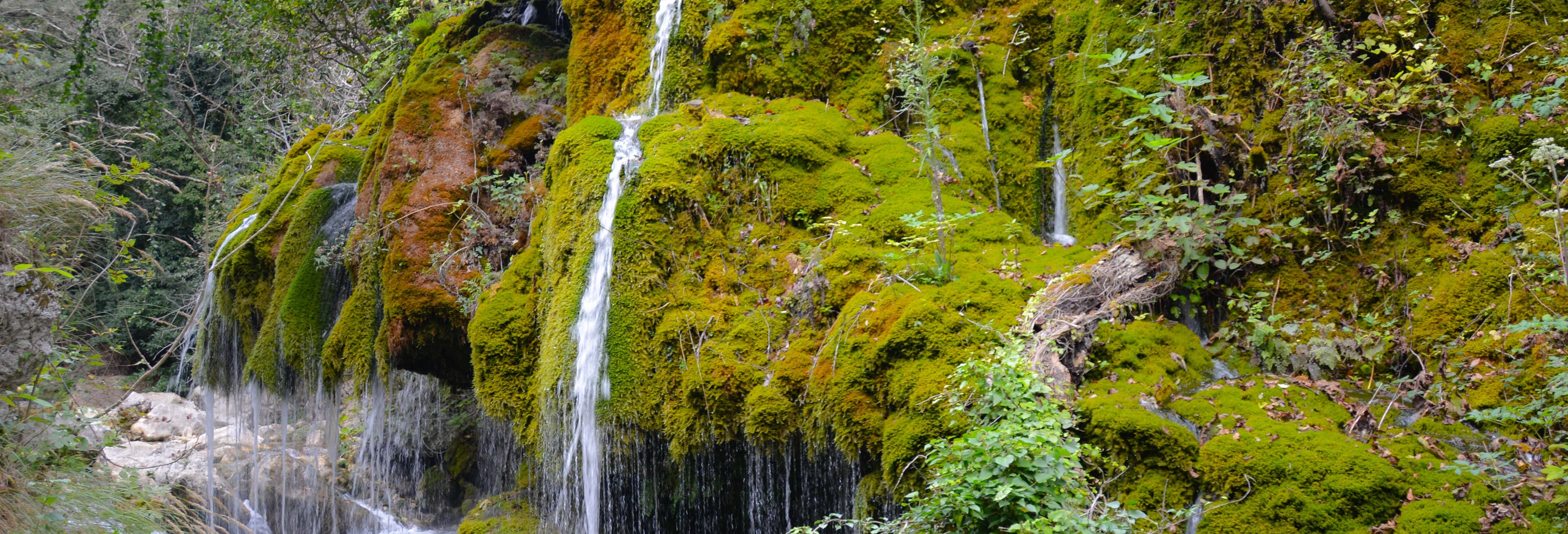 Hair of Venus Waterfalls Tour