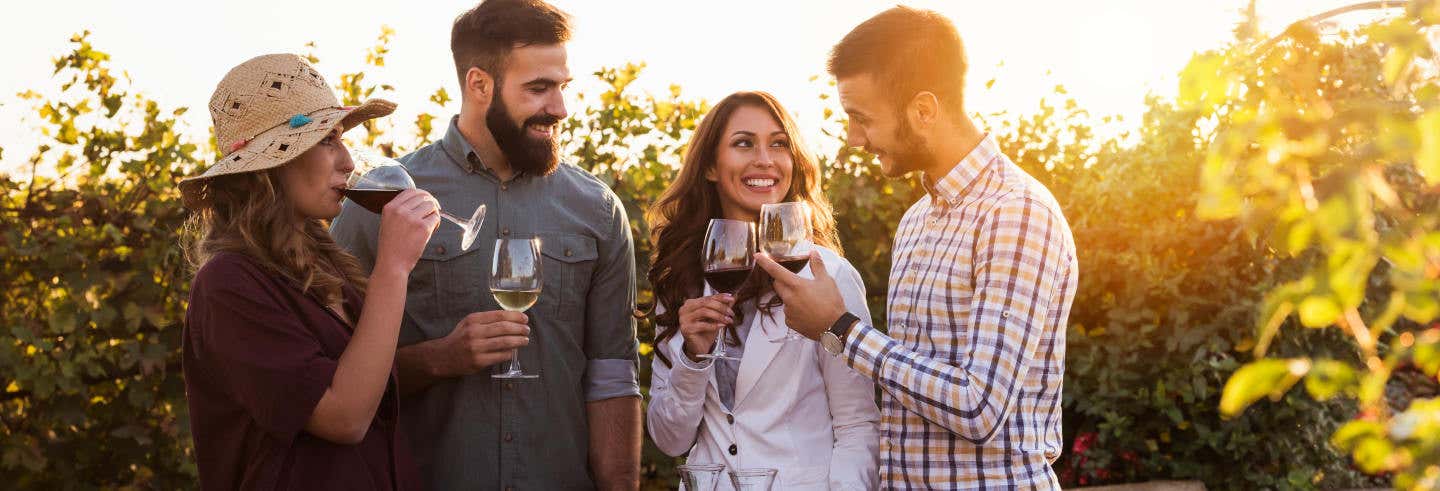 Degustazione di vino all'aria aperta