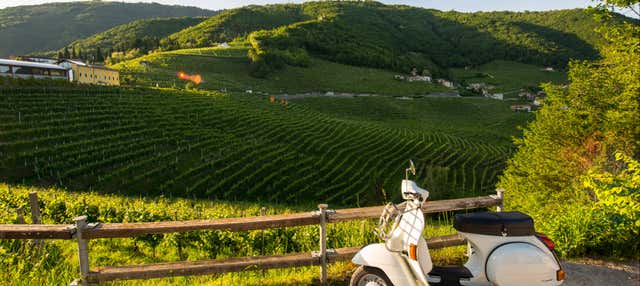 Tour del Chianti in vespa