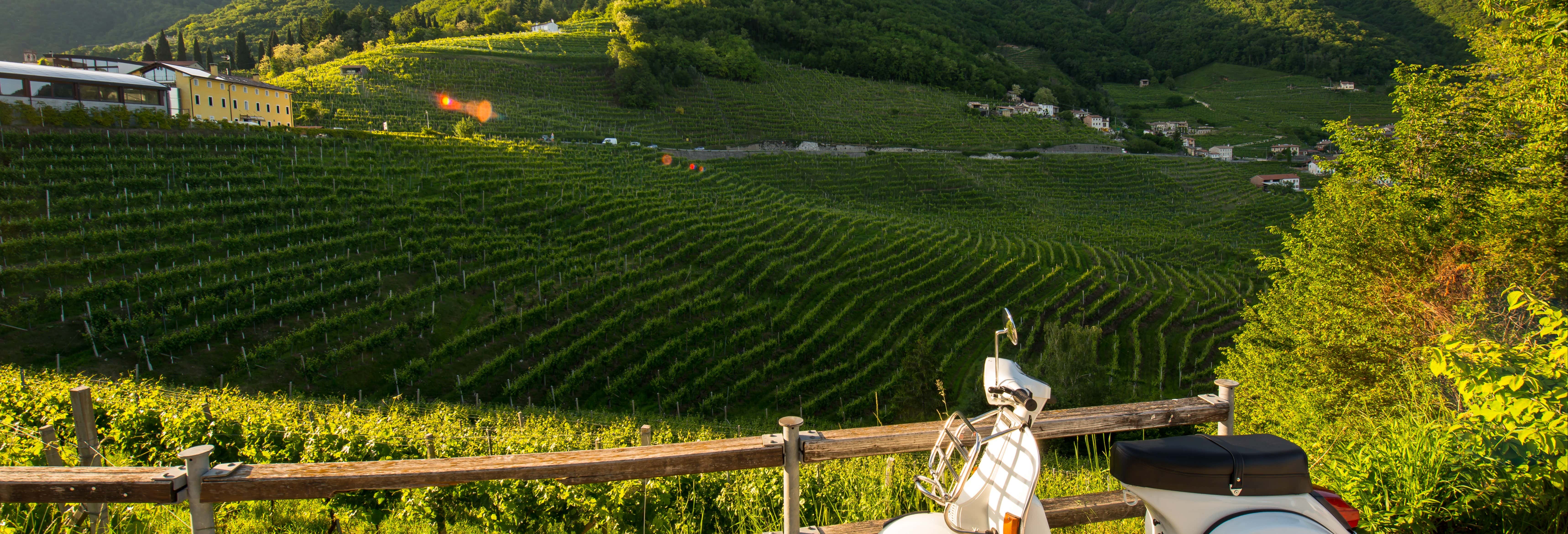 Vespa Tour of Chianti