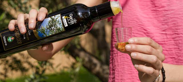 Olio Viola Oil Mill Tour + Tasting
