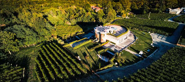 Visita a la bodega Pietro Cassina