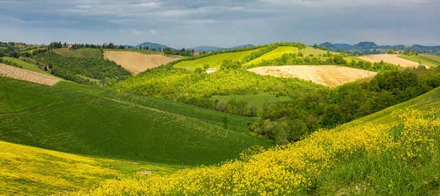 Tour privato dei colli bolognesi in Fiat 500
