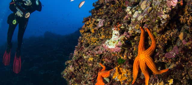 Immersione per principianti a Bosa