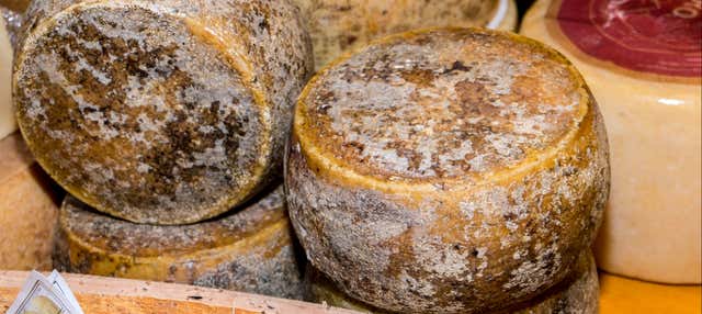 Degustazione di vini, formaggi e salumi a Cagliari