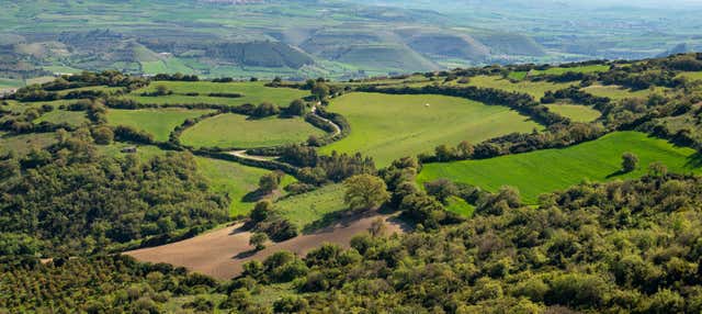 Escursione alla pianura del Campidano, valle di Marmilla e Giara