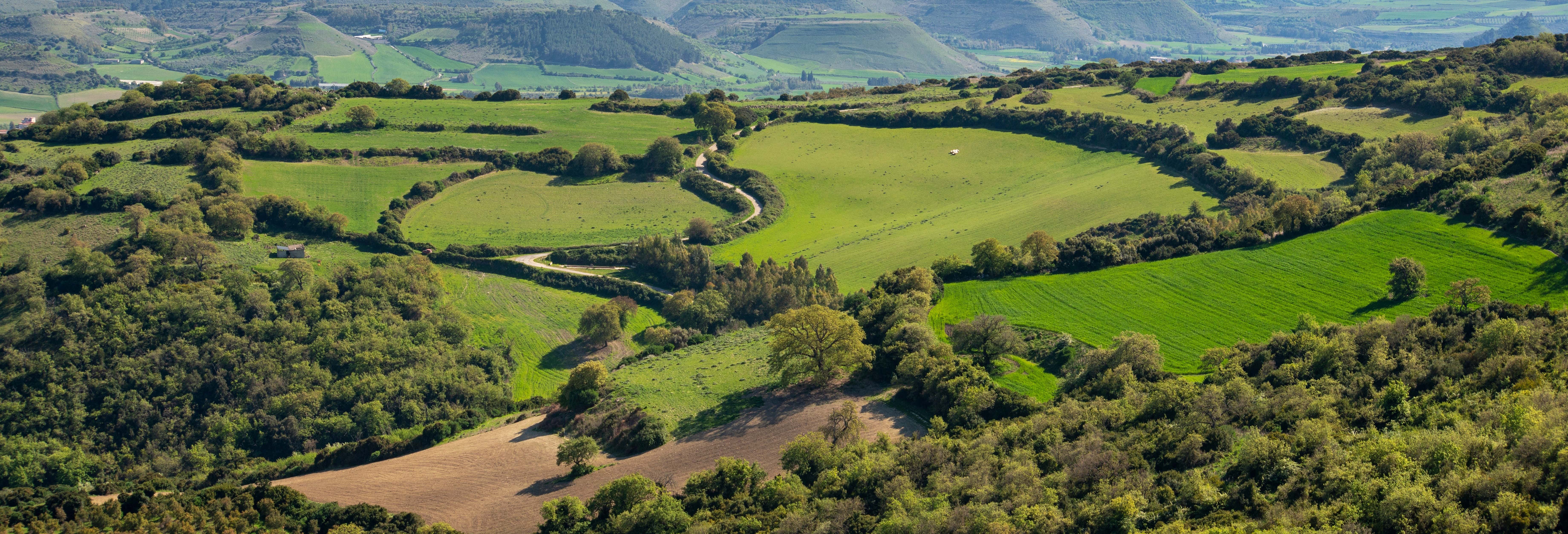 Escursione alla pianura del Campidano, valle di Marmilla e Giara
