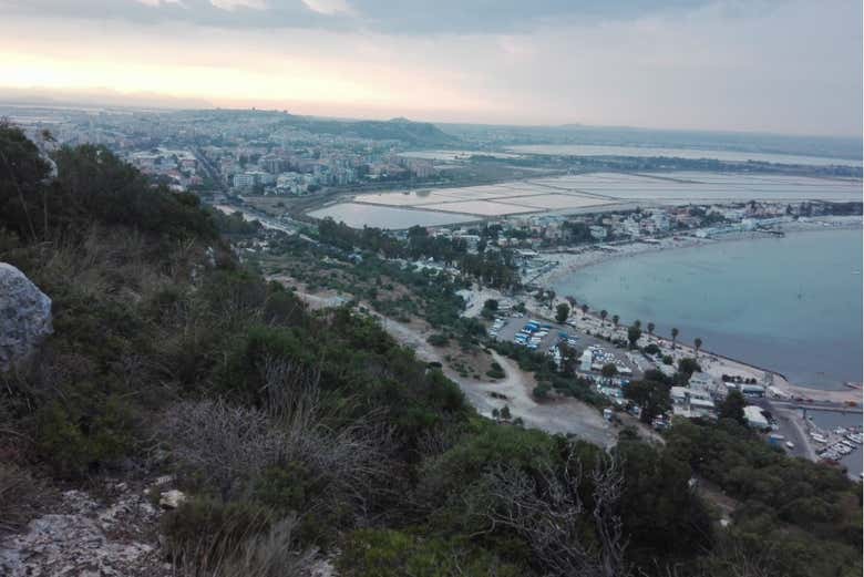 Imagen 5