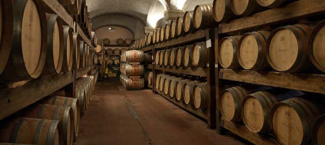 Visita guidata della Cantina Argiolas