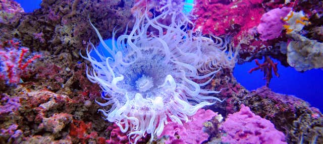 Biglietti per l'Acquario di Cala Gonone