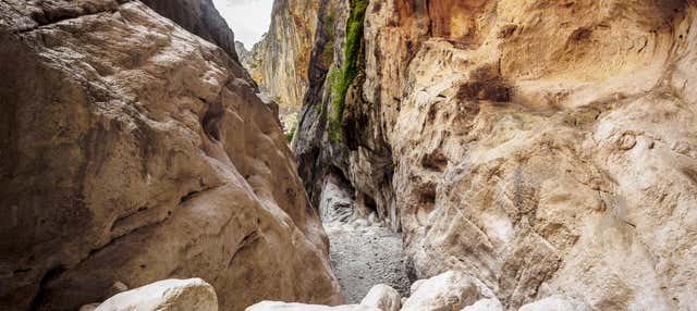 Escursione al Canyon Gorropu