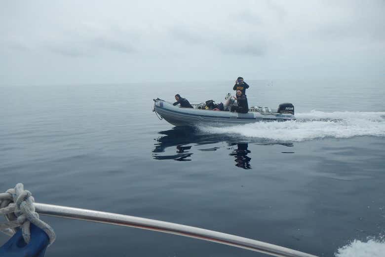 Imagen 3