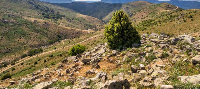 Safari in Jeep nel Parco Nazionale del Gennargentu
